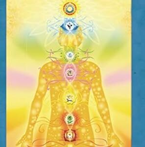Aura & Chakras.